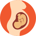 Ultrasonido Morfologico en Guadalajara M2