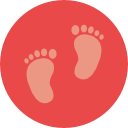 Ultrasonido Morfologico en Guadalajara M3