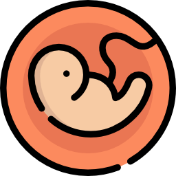 Ultrasonido Morfologico en Guadalajara M1