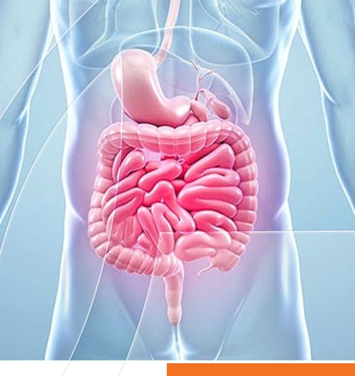 Coloproctologos en Veracruz, Coloproctologos en Boca del Rio Veracruz, Coloproctologos en Huatusco Veracruz, Coloproctologos en Xalapa Veracruz 13